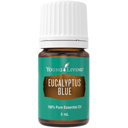 Modrý eukalyptus 5 ml