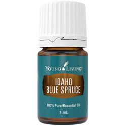 Smrk pichlavý (Idaho Blue Spruce) 5 ml