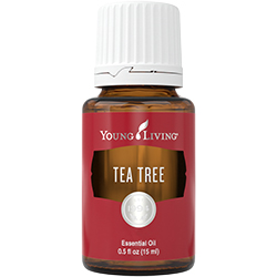 Čajovník (Tea Tree) 15 ml