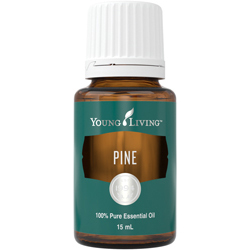 Borovice (Pine) 15 ml
