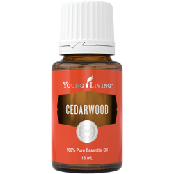Cedrové dřevo 15 ml