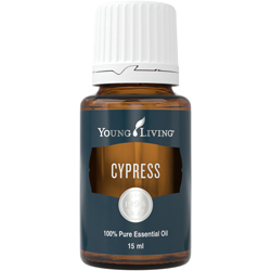 Cypřiš (Cypress) 15 ml