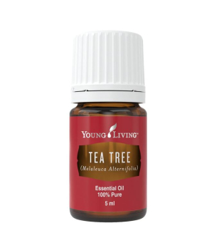 Čajovník (Tea Tree) 5 ml