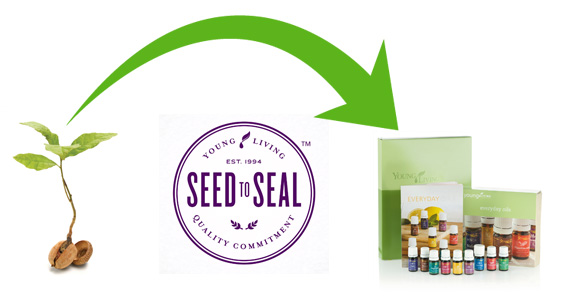 Seed to Seal Seed to Seal